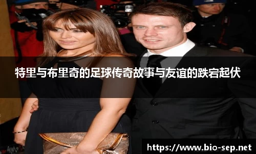 特里与布里奇的足球传奇故事与友谊的跌宕起伏