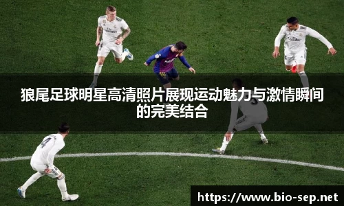 彩神VII-安全购彩